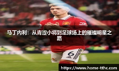 马丁内利：从青涩小将到足球场上的璀璨明星之路